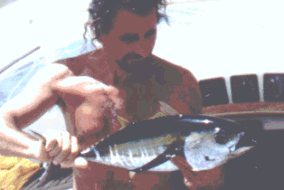 Bonito pescado, Bonito...